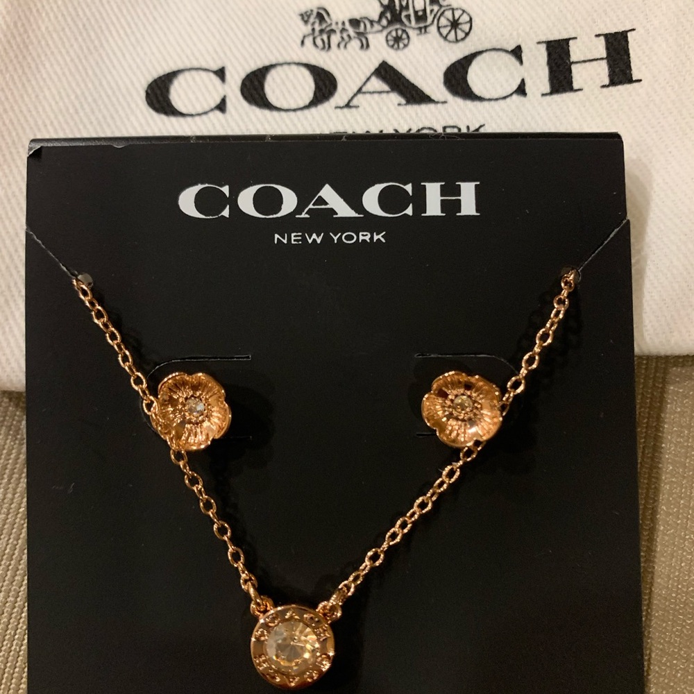 Gorgeous Coach matching earrings and necklace